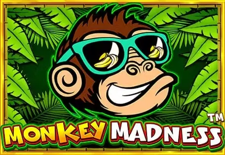 mokey madnes